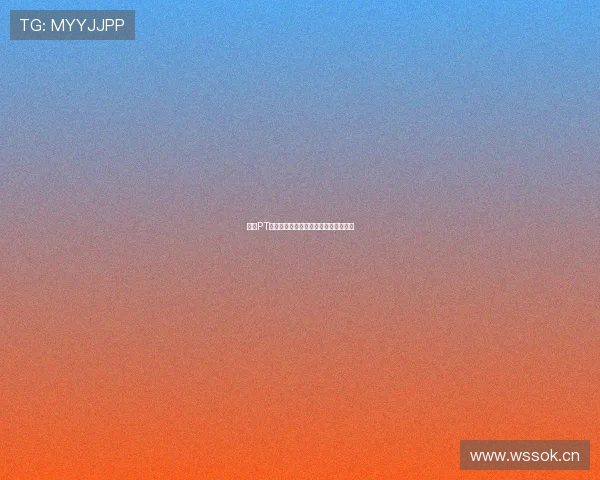 小鸟PT官方最新功能全面解析与实用操作指南